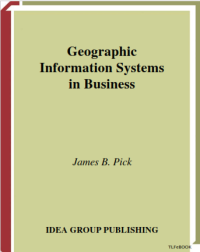 Geographic Information Systems in Business