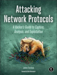 Attacking network protocols