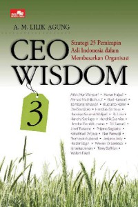 Ceo Wisdom 3