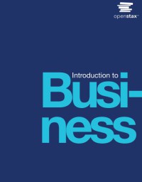 Introduction to Business (E-Book)