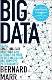 Big data : using smart big data,analytics and metrics to make better decisions and improve performance