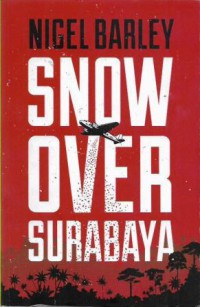 Image of Snow over surabaya