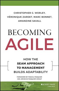 Image of Becoming agile; how the seam approach to management builds adaptability